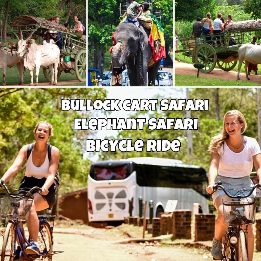 Sigiri Rainbow Lodge Sigiriya Dış mekan fotoğraf