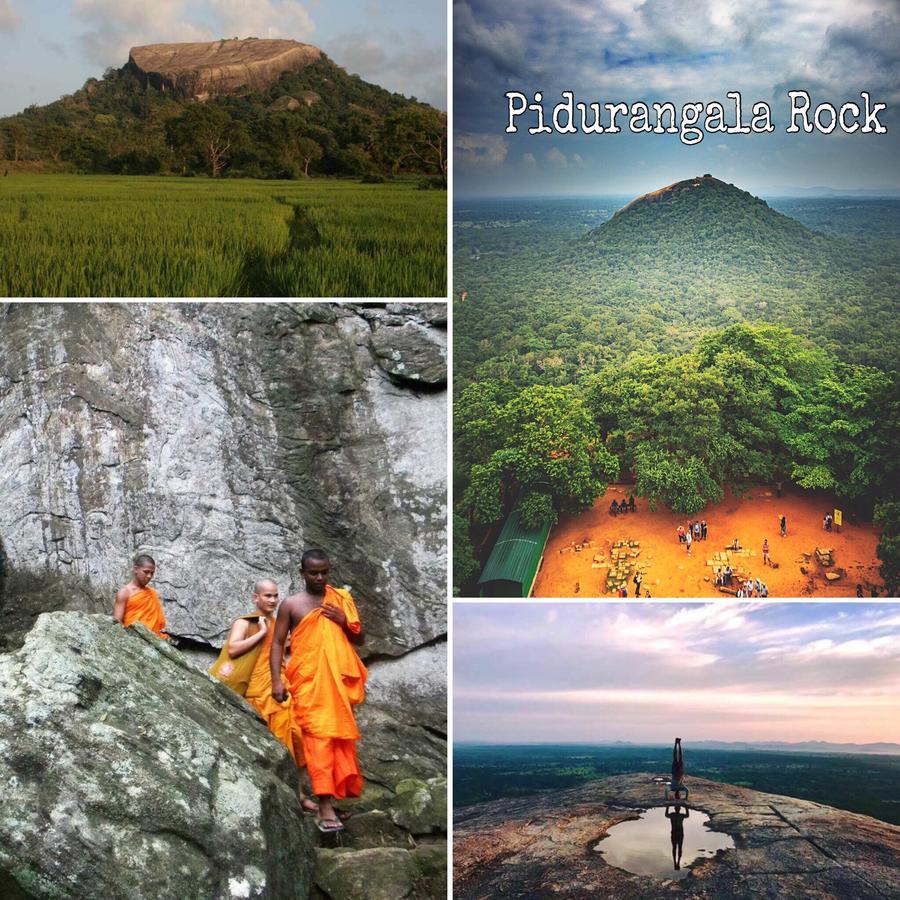 Sigiri Rainbow Lodge Sigiriya Dış mekan fotoğraf