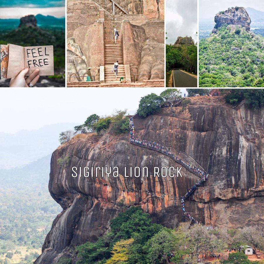 Sigiri Rainbow Lodge Sigiriya Dış mekan fotoğraf