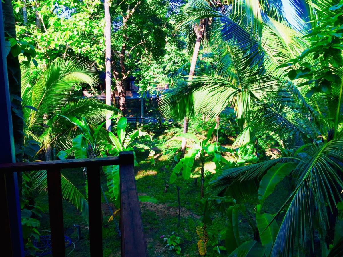 Sigiri Rainbow Lodge Sigiriya Dış mekan fotoğraf